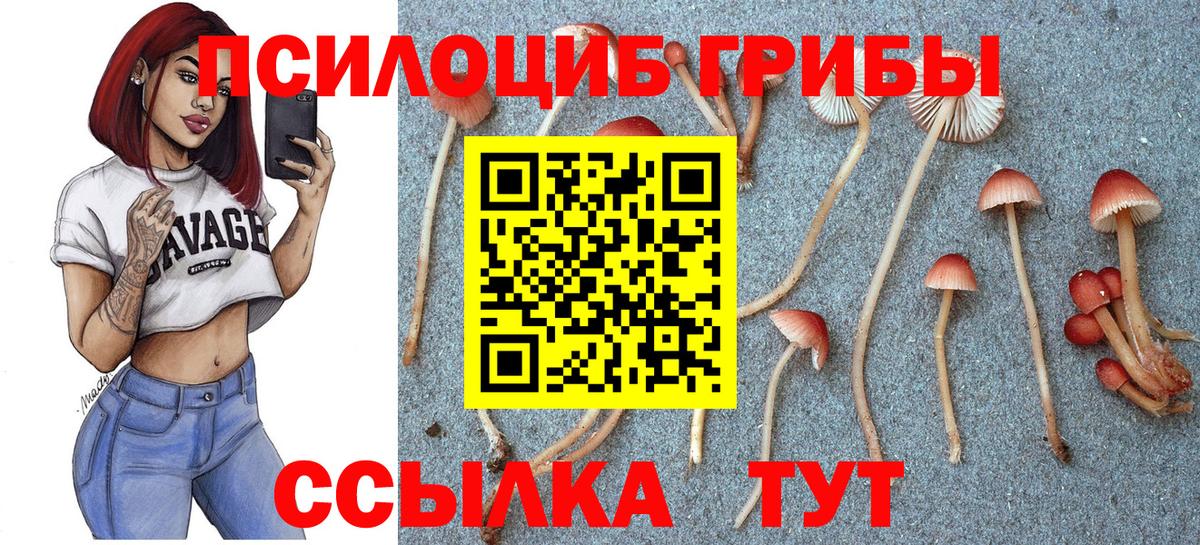 Галлюциногенные грибы ЛСД Дедовск