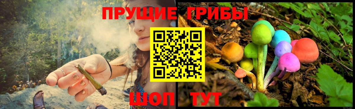 Дедовск  Псилоцибиновые грибы Cubensis  Вход с VPN 